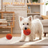 Loktoty IPX7 Smart Interactive Dog Toys Balls, Pelota Interactiva para Perros. Automatic Moving, Bouncing, E-TPU