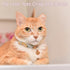 8 PCS Cat Bell for Dog Collar Charm, Loud Dog Training Bell with Pet Collar Accessories for Small Dogs & Cats (Rose
