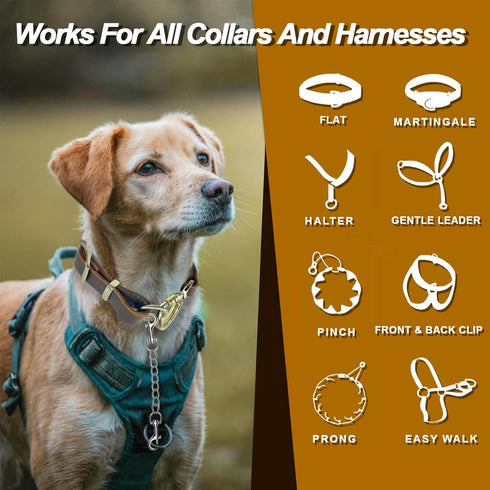 Dog Collar Backup Strap, Harness to Collar Safety Clip, Metal Stainless Steel Chain Leash Safety Attachment (8 Inches)