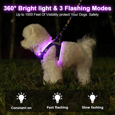 Light Up Dog Harness,Rechargeable LED Dog Harness for Small Medium Large Dogs,Reflective Lighted Safety Vest for Night
