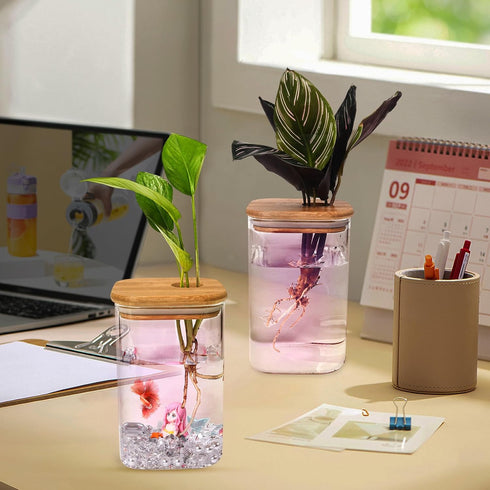 Mini Betta Fish Tank with LED Light, USB Powered Decorative Aquarium for Small Fish Species – Betta, Guppies, Tetras