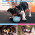 Puppy Toys Set 20 Pack - Interactive Chew Toys for Teething Small Breeds, Tough Rope & Soft Rubber Bundle
