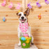 ADOGGYGO 4 Pack Easter Dog Bandana, Triangle Dog Scarf with Rabbit Easter Egg Pattern for Medium Large Dogs
