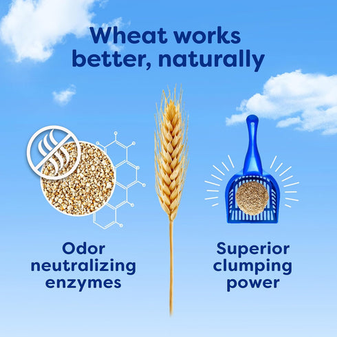 Natural Wheat Cat Litter, 14 Pound Bag, Original, Fast Clumping with Odor Neutralizing Enzymes