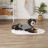 Bone Dry Pet Robe Collection, Embroidered Microfiber Bath Robe for Dogs & Cats, Small, Gray