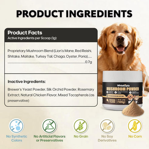120 8 Immune, Mushroom Powder Supplements for Dogs and Cats Lump & Bumps Scoops Types of Mushrooms Blend Herbal