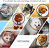 Adjustable Plastic Pet Recovery Collars & Cones for Dogs and Cats After Surgery, Elizabeth E-Collar to Prevent Biting