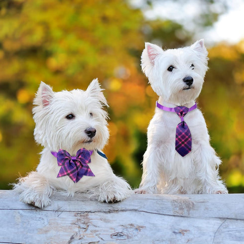 Reginary 100 Pcs Dog Bow Tie Collar Set, 40 Neckties, 30 Puppy Bow Ties, 30 Collar Flowers for Small Medium Dogs