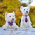 Reginary 100 Pcs Dog Bow Tie Collar Set, 40 Neckties, 30 Puppy Bow Ties, 30 Collar Flowers for Small Medium Dogs