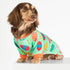 Fitwarm Easter Egg Dog Pajamas, Holiday Clothes for Small Dogs, Lightweight Velvet Pet Outfit (Light Green, Orange,