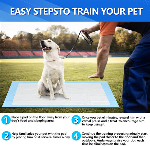 Disposable Dog Pee Pads, Extra Large 31" x 47" (80x120cm), 40 Count, Leak Proof Super Absorbent Training Pads for Dogs