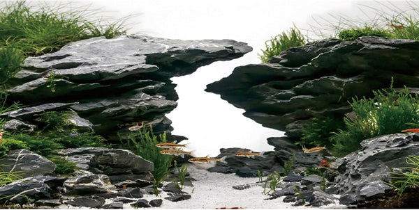 AWERT 30x18 inches Viewing Stone Fish Tank Background, River Bed & Lake Aquarium Vinyl Background.