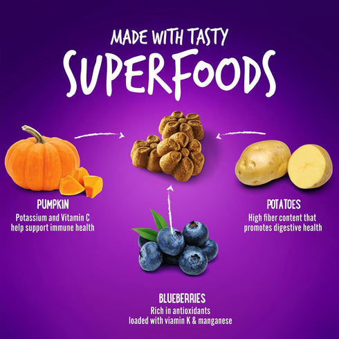 Fruitables Baked Dog Treats – Healthy Low Calorie Pumpkin and Blueberry, 12 Ounces