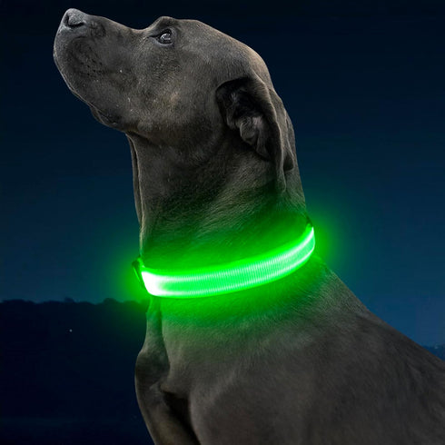 Illumifun Light Up Dog Collar - USB Rechargeable LED Glow in The Dark, Adjustable Pet Safety Lights, Green