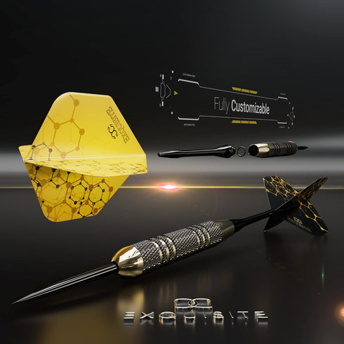 Premium Steel Tip Darts Set, Professional Darts, Brass Barrels, Metal Tip Darts, Extra Flights, (12) Aluminum Shafts