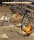 Koutemie Adjustable Chicken Perch for Coop, Heavy-Duty Metal Chick Roosting Bar for Brooder, Baby Chicks Stand Toy
