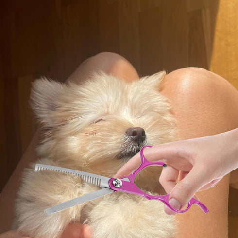 0 Inch Set 4 BESPORTBLE Pet Grooming Scissors Pieces Rose Purple Stainless Steel Dog Hair Scissors with Straight