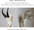 VMSIXVM European Deer Skull Mount Hanger, Euro Wall Mount Hanger for Deer Head and Other Smaller Animals, Skull Wall