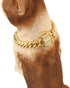 Dog Chain Collar - 12MM Heavy Duty Cuban Chain, 316L Stainless Steel Silver/Gold Training Collar (12'', Gold)