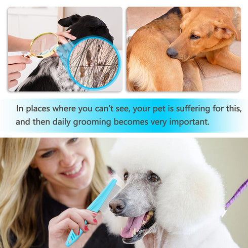 Cat & Dog Grooming Set, Fine Tooth Comb for Removing Dandruff Flakes & Hair in Blue
