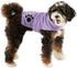 Bone Dry Pet Robe Collection, Embroidered Absorbent Microfiber Bath Robe with Adjustable Closure, Small, Lavender