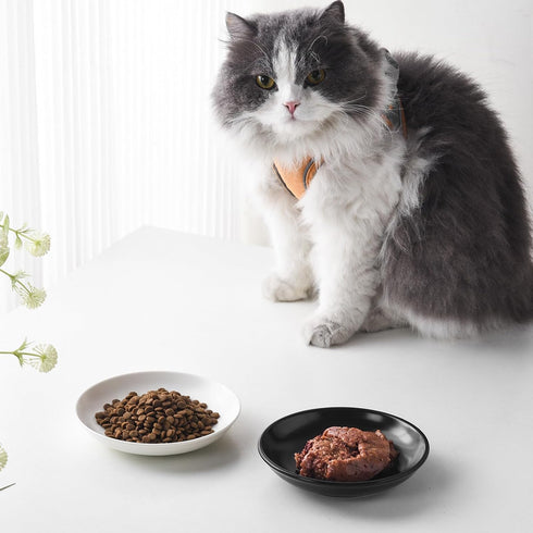 Ceramic Cat Food Bowl Set - 4 Pack Healthy Wide Shallow Dishes for Food and Water, Anti Whisker Fatigue Feeding Bowls
