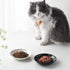 Ceramic Cat Food Bowl Set - 4 Pack Healthy Wide Shallow Dishes for Food and Water, Anti Whisker Fatigue Feeding Bowls
