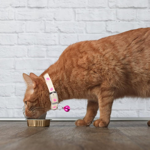 PATKAW 3Pcs Glowing Cat Dog Collar with Bell, Light Up Puppy Collar, Adjustable Fluorescent Pet Safety Collar