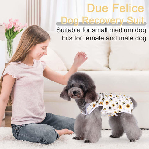 Dog Surgery Suit for Female - Spay Recovery Suit for Dogs - Neuter Recovery Suit for Male Dogs - Fits Small Medium Dog