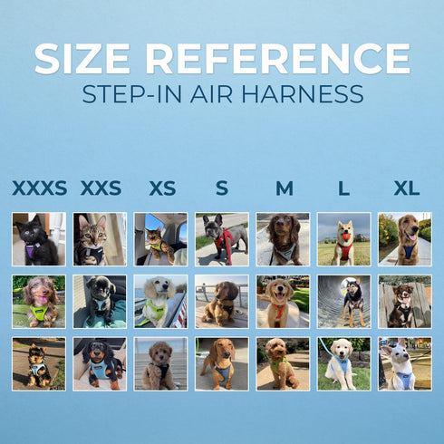 Best Pet Supplies Voyager Step-in Air Dog Harness - All Weather Mesh, Reflective, No Pull for Small Dogs, XS