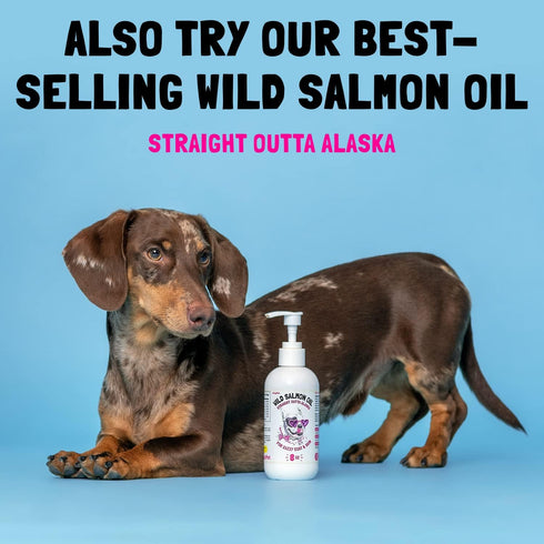 Omega 3 Alaskan Salmon Oil Treats for Dogs, 30 Fish Oil Chew Supplement for Skin and Coat Health