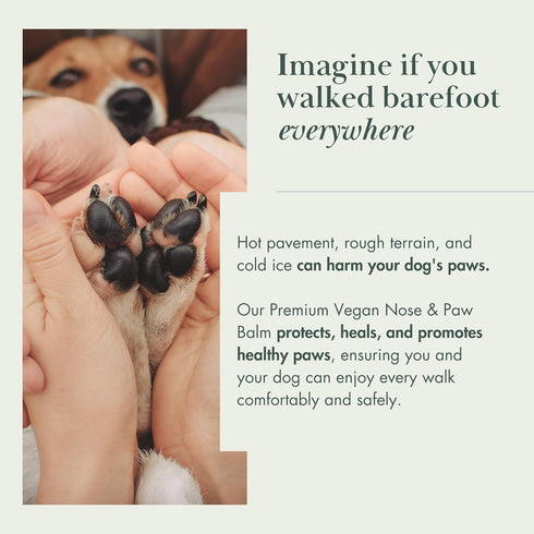 Vegan Paw Balm for Dogs, All-Natural Moisturizing Formula with Coconut Oil & Shea Butter