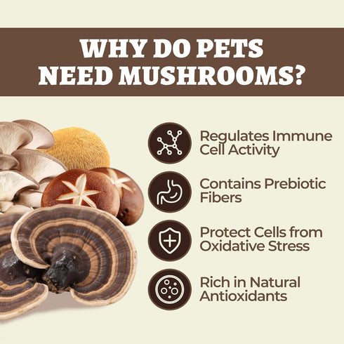8 Immune, Wellix Mushroom Powder Supplements for Dogs & Cats - Lumps & Bumps Dog Supplement - Types of Mushrooms