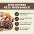 8 Immune, Wellix Mushroom Powder Supplements for Dogs & Cats - Lumps & Bumps Dog Supplement - Types of Mushrooms