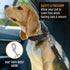Active Pets Dog Car Seat Belt Harness, Safety Travel Restraint System for Small to Large Dogs, Crash Tested, Orange 1pk.