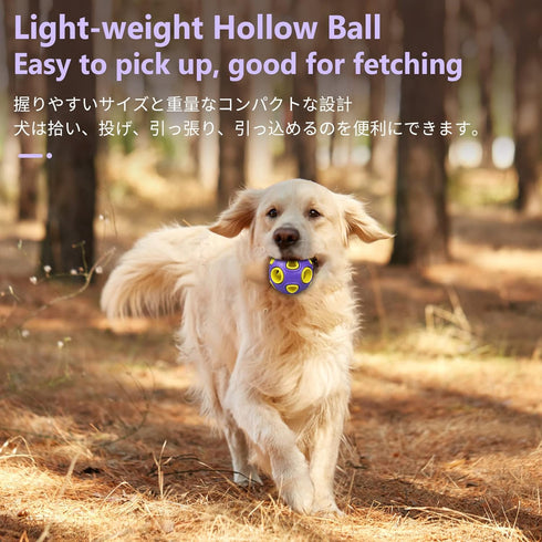 SCHITEC Dog Balls with Bell Sound, 2 Pack, Rubber Bouncy Fetch Ball for Medium Large Dogs