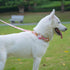 Floral Dog Leash with Soft Comfy Cotton Handle for Small Medium Large Dogs - Daily Walking (Gouache, M)