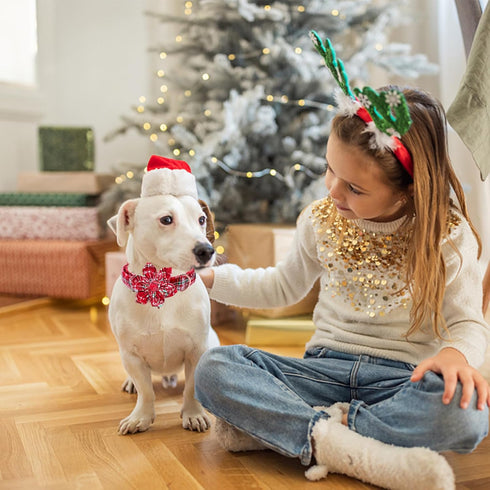 Lionheart Glory Christmas Plaid Dog Collar, Adjustable Soft Comfortable Flower Collar for Medium Dogs, Pet Gift