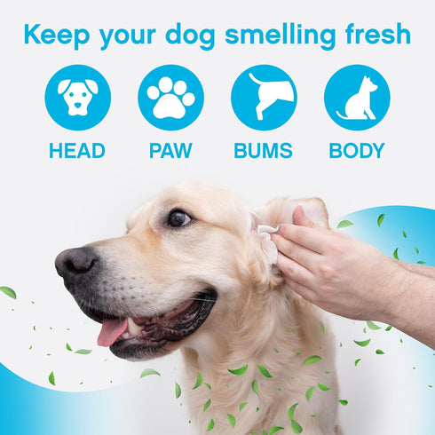 NonScents 75 Deodorizing & Cleaning Dog Grooming Wipes - Fragrance-Free Pet Wipes for Dogs, Unscented for Quick Baths