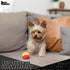 Pet Qwerks Large Animal Sounds Babble Ball