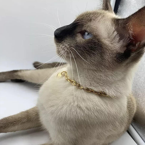 Dog Collar and Cat Chain Necklace, Stainless Steel Adjustable 18K Gold Heart-Shaped Necklace for Small Pets, Gold, 7