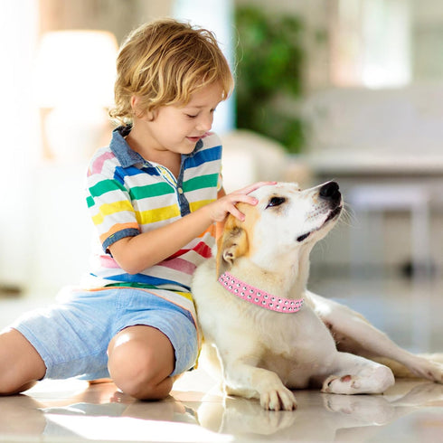 BINGPET Dog Leather Collar, Adjustable Real Split Leather Studded Pet Collar, Durable for Small Medium Large Dogs, Pink