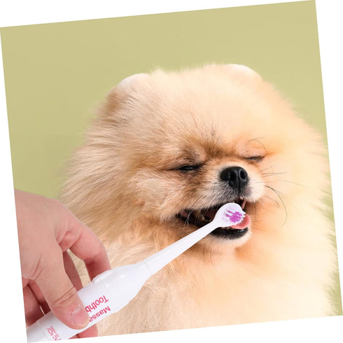 2 Pack FOMIYES Electric Pet Toothbrush Safe Gentle on Gums Portable for Travel Dog Oral Care Random Color