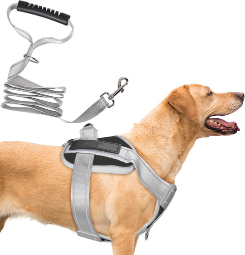 Heavy Duty No-Pull Dog Harness and Leash Set for Large Dogs, Reflective Adjustable Training Vest (Black, Size L)