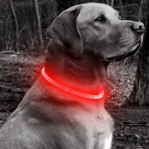 BSEEN Light Up Dog Collar - Rechargeable LED Dog Collar, 360° Glow in The Dark Pet Collar for Night Walking (Red 70cm)