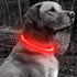 BSEEN Light Up Dog Collar - Rechargeable LED Dog Collar, 360° Glow in The Dark Pet Collar for Night Walking (Red 70cm)