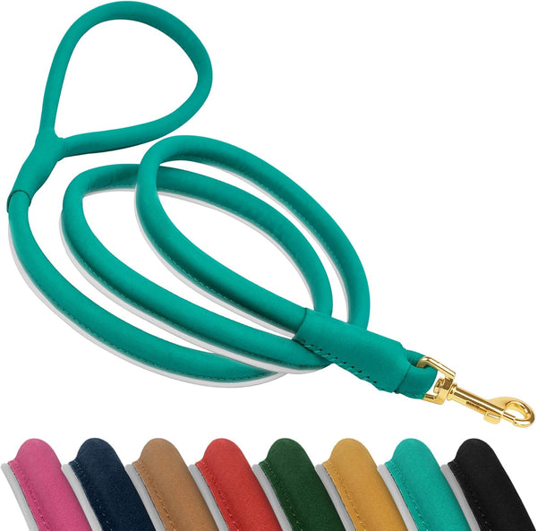 OOOPSDOGGY 6ft Reflective Rolled Leather Dog Leash - Soft Lead for Small Medium Large Dogs, Heavy Duty Rope (Teal,