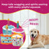 Plush Birthday Dog Toys - Pink Birthday Cake Toy with Squeaker for Small, Medium, and Large Dogs