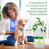 Biokleen Bac-Out Pet Stain Remover, 1 Gallon Enzymatic Natural Cleaner for Pet Stains on Carpets, Eco-Friendly