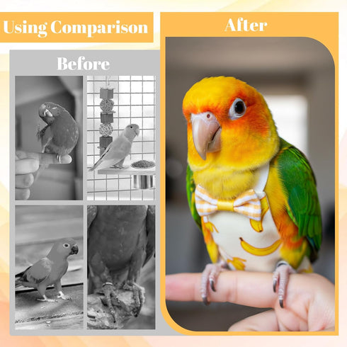 HekouJiub 6Pcs Bird Diaper - Reusable Parrot Diapers with Waterproof Inner, Washable Pet Bird Diapers for Cockatiel